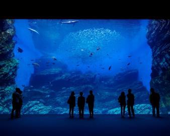 仙台うみの杜水族館