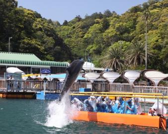 下田海中水族館