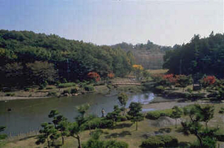 こども自然公園